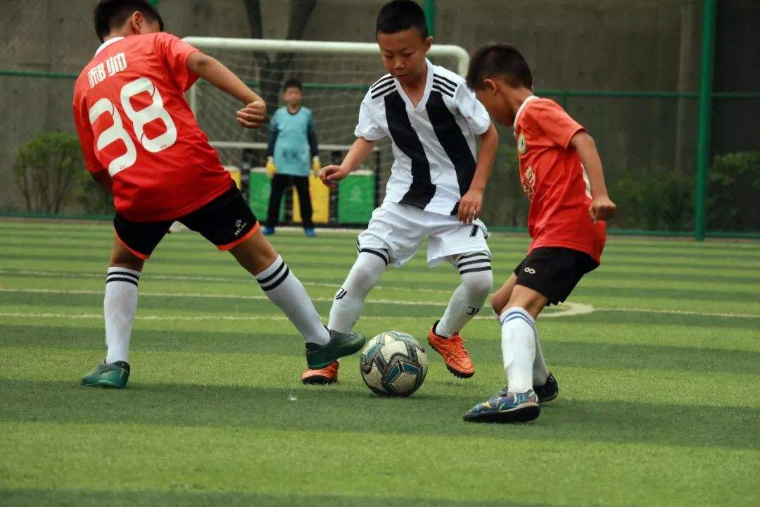 246天天好彩截图