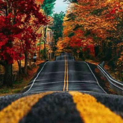 梭哈游戏下载下载手机版