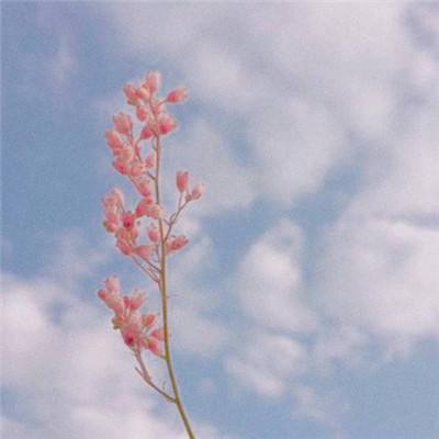 香港最准资料免费公开手机app下载