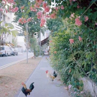 皇冠体育安卓app