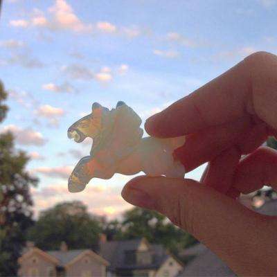 888电玩城游戏厅手机app下载