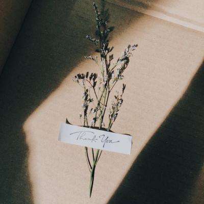 LOL外围官网app下载