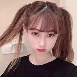 半岛官方入口app