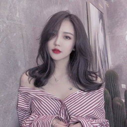 半岛官方入口app