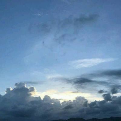 半岛官方入口app