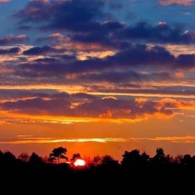 梭哈游戏下载下载手机版截图