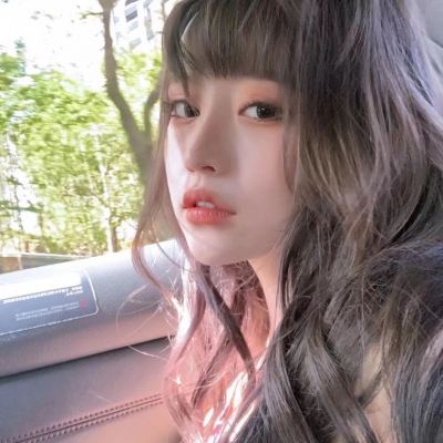 澳门4949资料免费大全下载手机版